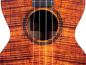 Preview: ukulele